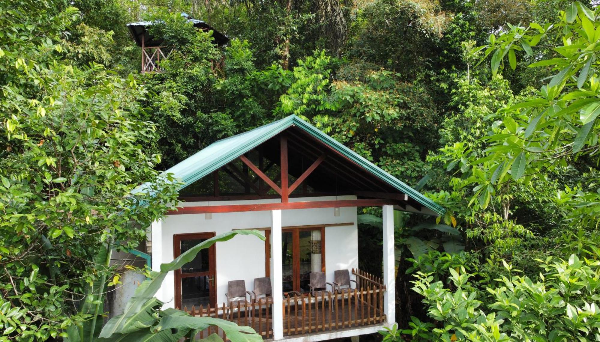 ホテル Sinharaja Rest デニヤヤ エクステリア 写真
